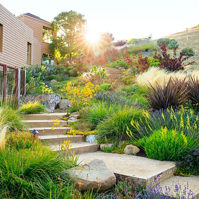 Gardening in drought conditions: an intro we shared tips on landscaping in drought – from increasing the soil’s water-holding capacity to caring for your lawn. Read on for more expert tips on gardening when there’s a water shortage