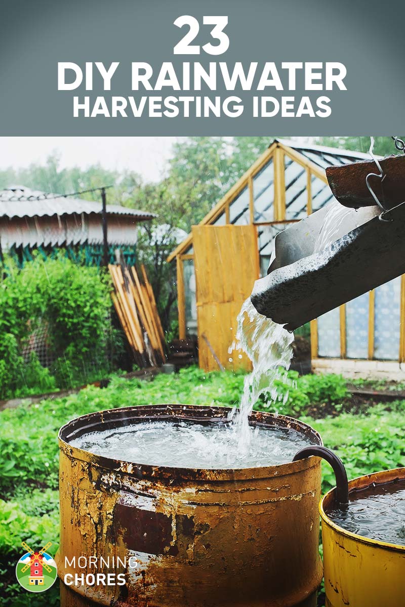 Around 600 gallons of rainwater can be harvested from about one inch of rain if it falls from a thousand square foot roof. Doesn’t that sound like a lot of water that you could harvest and use for free? Wanna hear from humans all over the world doing cool stuff?